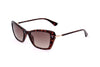 Guess Womens Sunglasses GU7654 52F 52 19 135 DARK HAVANA